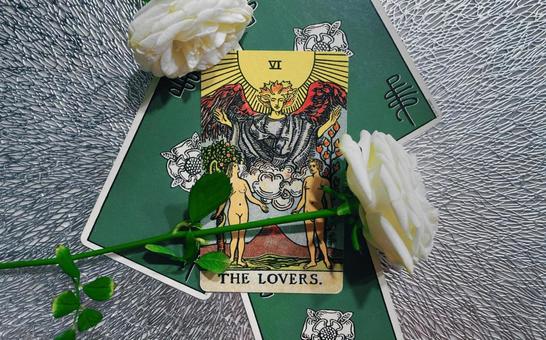 タロットカード恋人たちと白色薔薇 タロットカード恋人たちと白色薔薇の写真