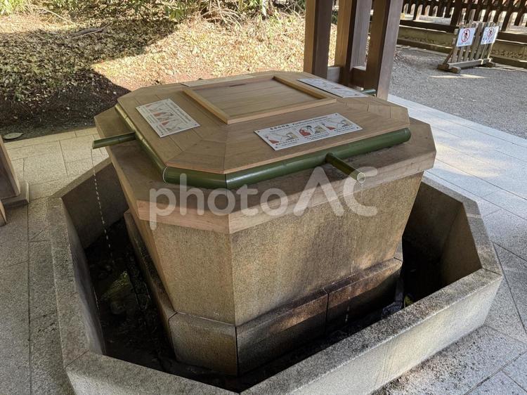 明治神宮　西の手水 遊歩道,林,林道の写真素材