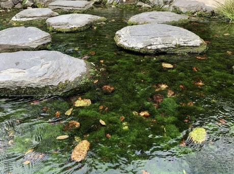 栗林公園 栗林公園,高松市,栗林町の写真素材