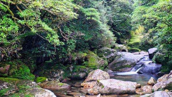 上流部分の風景 川,穏やか,水の写真素材