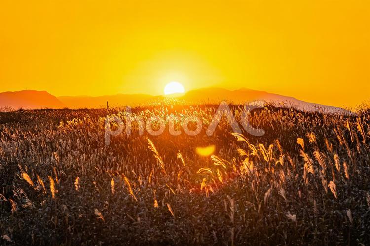 北海道　石狩　はまなすの丘公園の夕暮れ 風景,景色,大地の写真素材