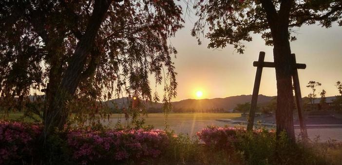 Sunset seen through the trees, JPG Sunset seen through the trees, 公园, 日落, 魔幻时刻, JPG