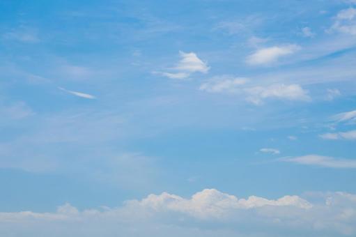 夏の空(39) 夏の空(39)の写真