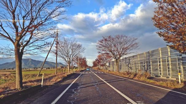 見通しの良い直線と紅葉と青空 見通しの良い直線,ストレート,直線の写真素材