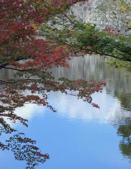 初紅葉 水鏡 西の丸庭園,紅葉渓庭園,初紅葉の写真素材