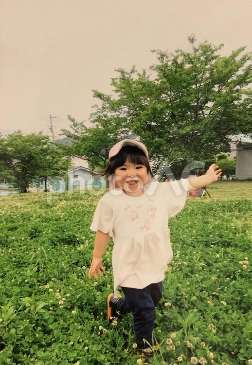 クローバー畑と女の子 シロツメクサ,子供,一面の写真素材