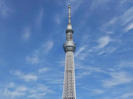 清々しい雲と東京スカイツリー 清々しい雲と東京スカイツリーの写真