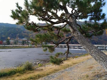 渡月橋 渡月橋,嵐山,京都の写真素材