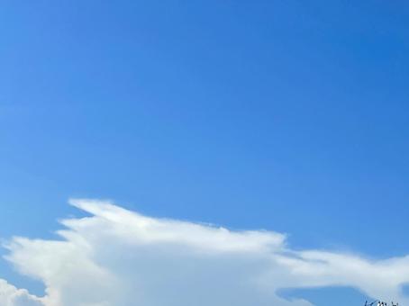 雲のある青空の写真