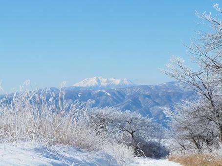雪景色・冬の登山道(高ボッチ山) 雪景色・冬の登山道(高ボッチ山) 高ボッチ山,山,登山道の写真素材