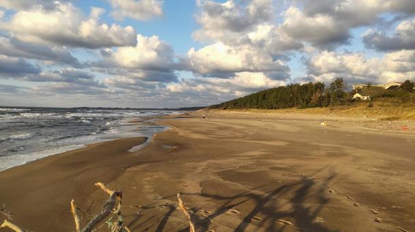 秋の海岸 秋の海岸,砂浜,空の写真素材