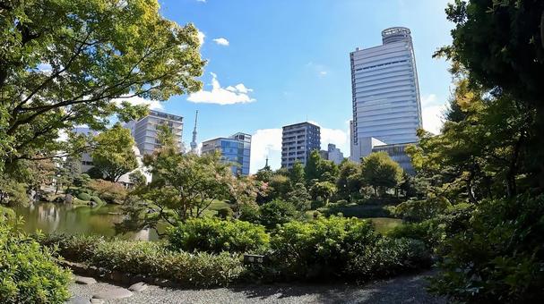 東京都墨田区横網１丁目　旧安田庭園 池泉回遊式庭園,リラックス,回遊式庭園の写真素材