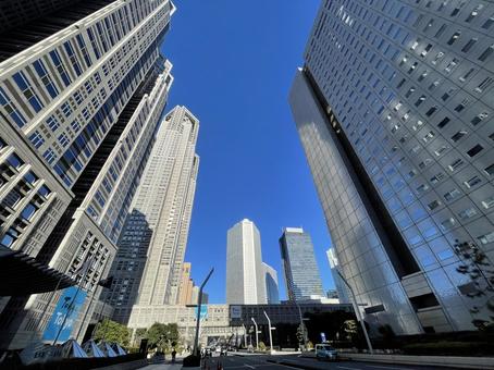 東京都庁2023：都庁と西新宿ビル街 東京都庁,高層ビル,西新宿の写真素材