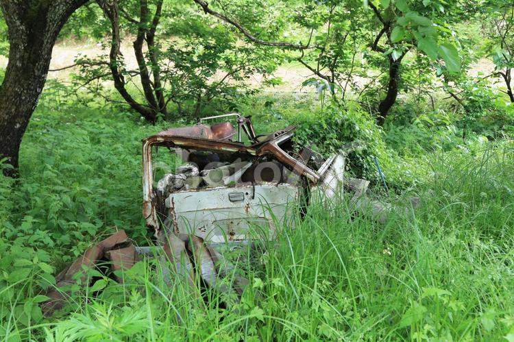 山林に放置され、朽ちる廃車 廃車,車,自動車の写真素材