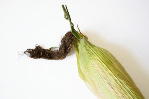 とうもろこし とうもろこし とうもろこし,夏,野菜の写真素材