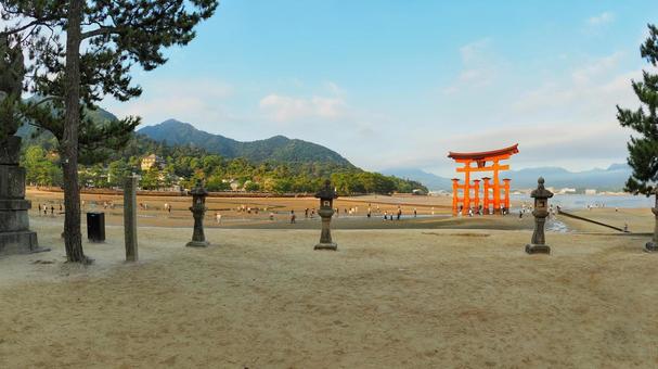 厳島神社大鳥居 厳島神社,鳥居,海の写真素材
