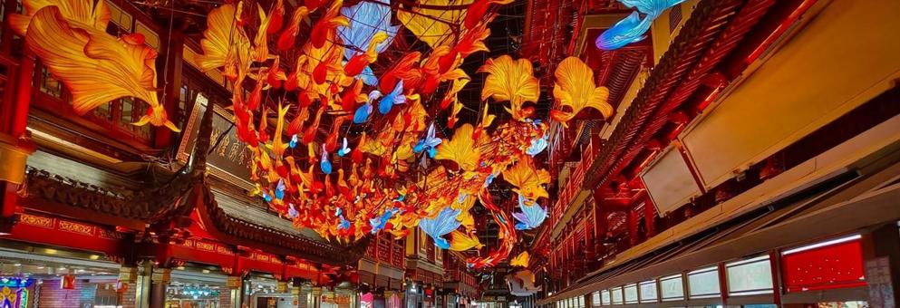 幻想的な光に包まれる夜の豫園 幻想的な光に包まれる夜の豫園 豫園,ライトアップ,中国の写真素材