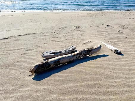 Photo, driftwood, sea, beach, 