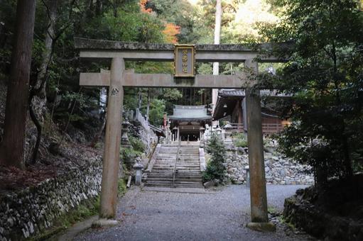 崇道神社　鳥居と本殿 崇道神社,鳥居,本殿の写真素材