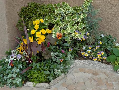 春の花壇 花壇,ガーデニング,春の写真素材