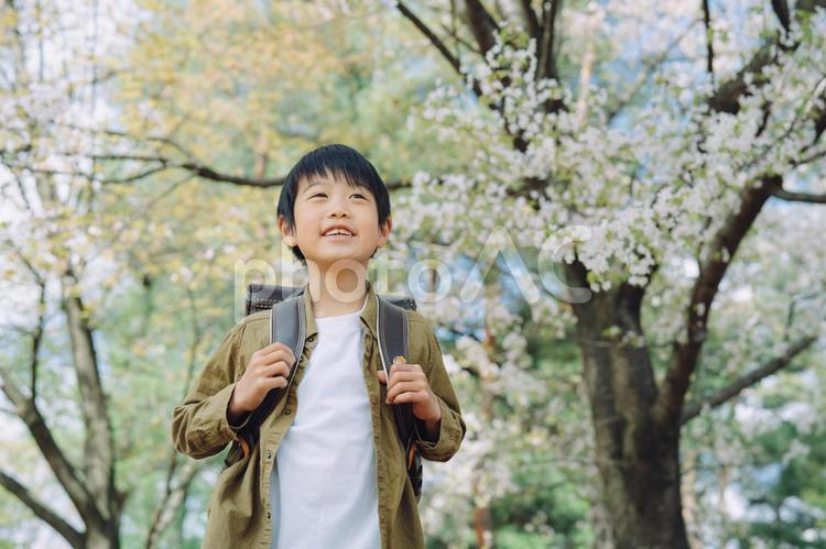 小学生の男の子（笑顔） 小学生,子供,新学期の写真素材