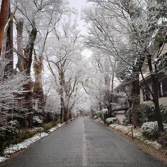 雪景色 雪景色の写真