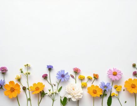 カラフルな花の背景 カラフルな花の背景の写真