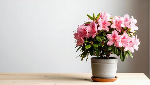 躑躅の花 躑躅の花の写真