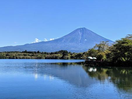 夏の田貫湖富士 夏の田貫湖富士 富士山,湖,自然の写真素材