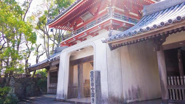安楽寺 鐘楼門 安楽寺 鐘楼門 徳島県,安楽寺,温泉山の写真素材