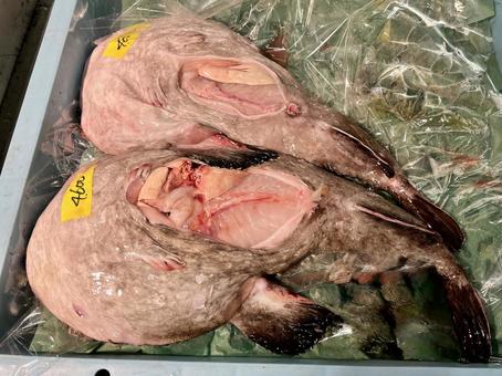 アンコウの写真