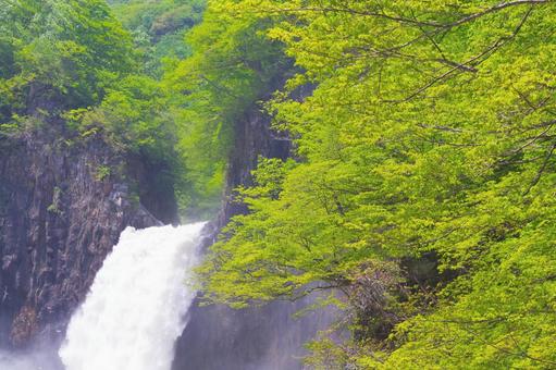 苗名の滝 苗名の滝 苗名の滝,新潟,滝の写真素材