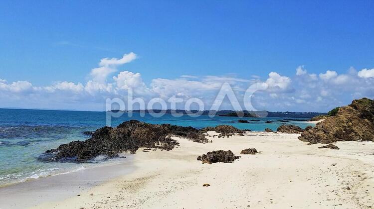 南国の海岸 南国,海岸,海の写真素材
