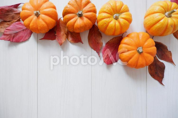 秋の紅葉、かぼちゃのデコレーション背景 秋,カボチャ,紅葉の写真素材