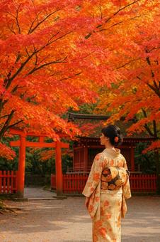 紅葉が美しい神社と着物の女性 紅葉が美しい神社と着物の女性の写真