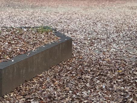 植え込みに積もる落ち葉 落ち葉,秋,晩秋の写真素材