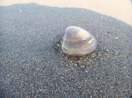 海岸の風景 海岸の風景の写真