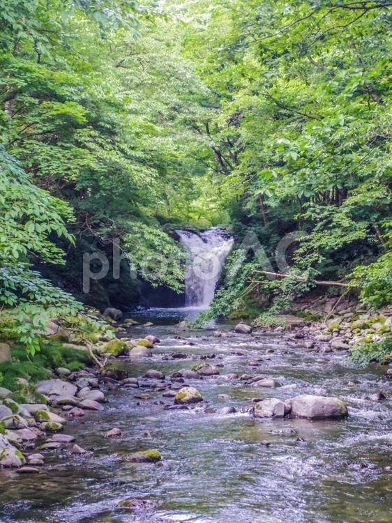 【秋田県】鹿角市・止滝 鹿角市,止滝,滝の写真素材