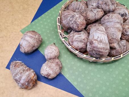 里芋_和紙バック_7 秋,野菜,里芋の写真素材