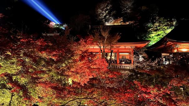 清水寺夜のライトアップ11 清水寺夜のライトアップ11 清水寺,清水,京都の写真素材
