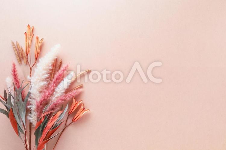 ドライフラワーのフレーム ドライフラワー,秋,フレームの写真素材