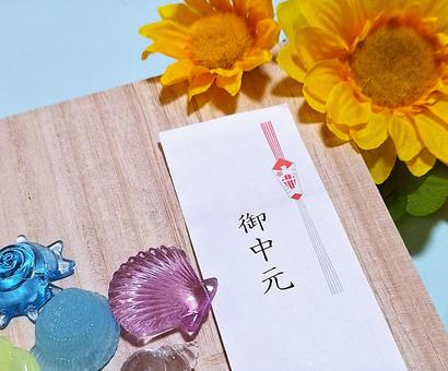 御中元 ひまわりと貝殻② 御中元 ひまわりと貝殻② 御中元,のし,イメージの写真素材
