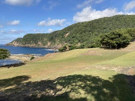 海辺の草原 海辺の草原の写真