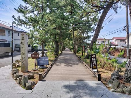 「神の道」三保松原~御穂神社の参道 「神の道」三保松原~御穂神社の参道 神の道,御穂神社,三保松原の写真素材