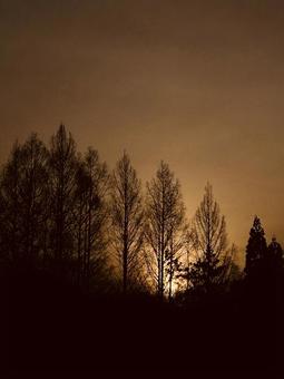 夕暮れ 夕焼け,夕方,夕日の写真素材