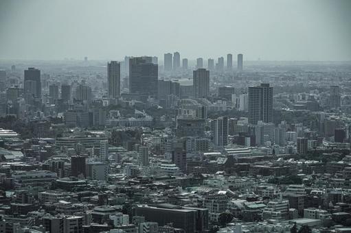 東京・港区の都市風景 東京・港区の都市風景 東京,港区,高層ビルの写真素材
