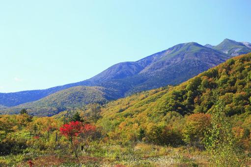 紅葉の秋の乗鞍高原 乗鞍高原,紅葉,秋の写真素材
