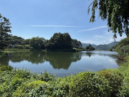 真夏の長野県塩尻市 小坂田池 真夏の長野県塩尻市 小坂田池 小坂田池,池,農業用ため池の写真素材