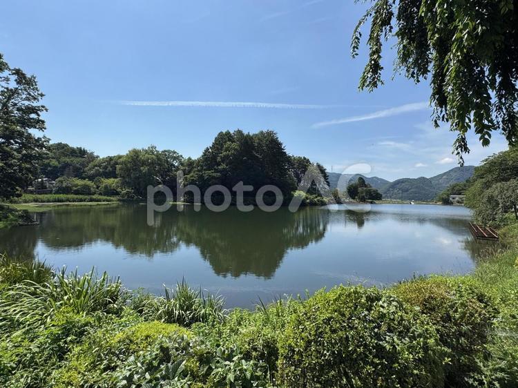 真夏の長野県塩尻市　小坂田池 小坂田池,池,農業用ため池の写真素材