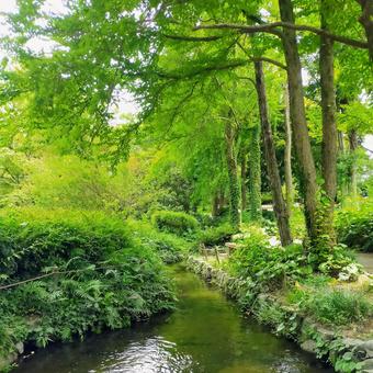 植物園 植物園の写真